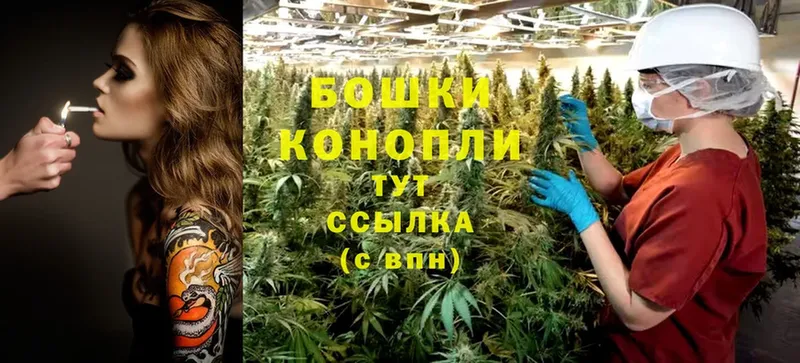 купить наркотик  kraken как войти  МАРИХУАНА White Widow  Ахтубинск 